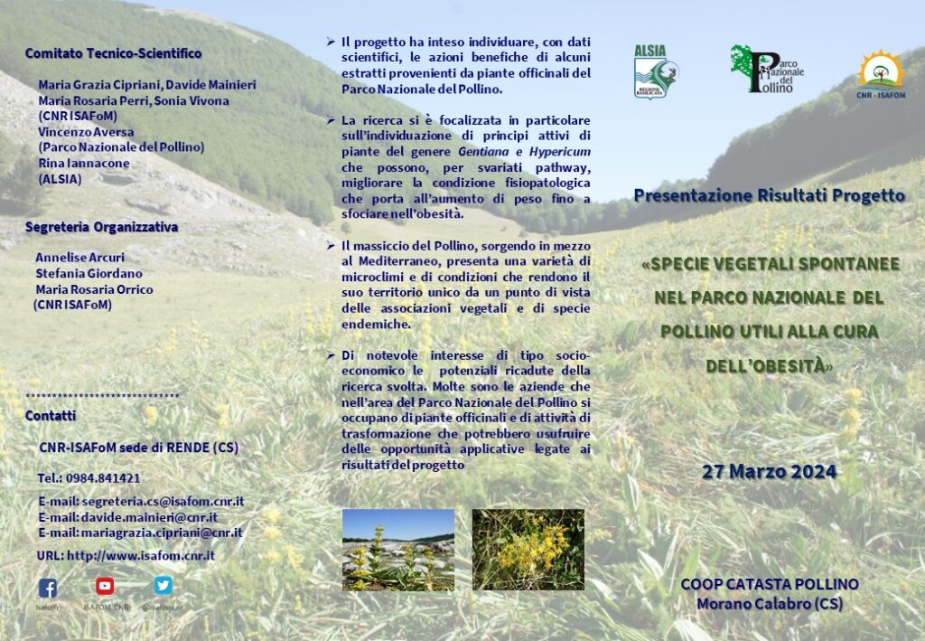 Specie vegetali spontanee, nel Parco Nazionale del Pollino, utili alla cura dell’obesità – 27/03/2024