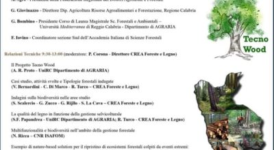 Tecnologie e pratiche innovative per la valorizzazione della filiera foresta legno in Calabria e la tutela della biodiversità” PSR Calabria TecnoWood – 16/04/24 – CREA Rende