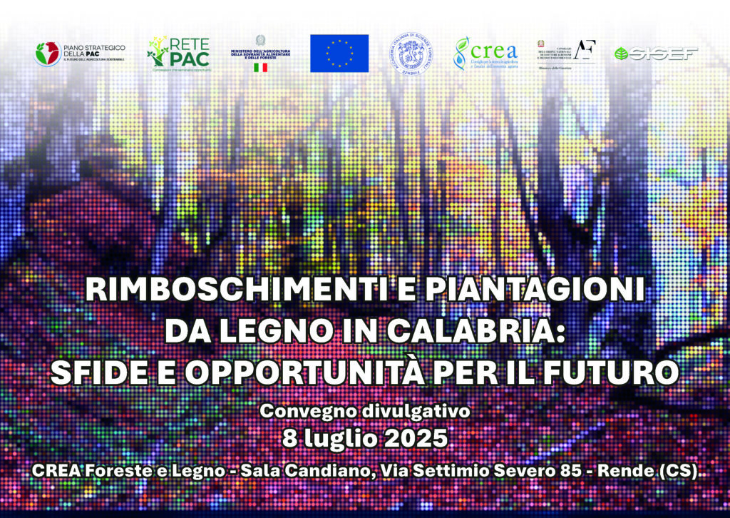 Rimboschimenti e piantagioni da legno in Calabria: sfide e opportunità per il futuro – 8 luglio 2025 presso il CREA Foreste e Legno – Sala Candiano, Via Settimio Severo 85, Rende (CS).