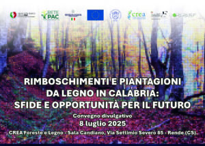 Rimboschimenti e piantagioni da legno in Calabria: sfide e opportunità per il futuro - 8 luglio 2025 presso il CREA Foreste e Legno - Sala Candiano, Via Settimio Severo 85, Rende (CS)
