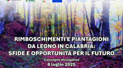 Rimboschimenti e piantagioni da legno in Calabria: sfide e opportunità per il futuro – 8 luglio 2025 presso il CREA Foreste e Legno – Sala Candiano, Via Settimio Severo 85, Rende (CS).